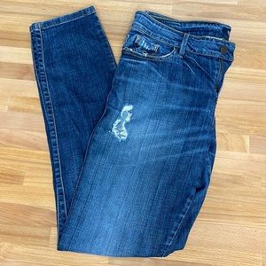 Size 31 Brittney Skinny/Straight Leg Jeans